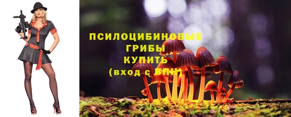мяу мяу мука Арсеньев