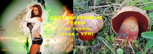 мяу мяу мука Арсеньев