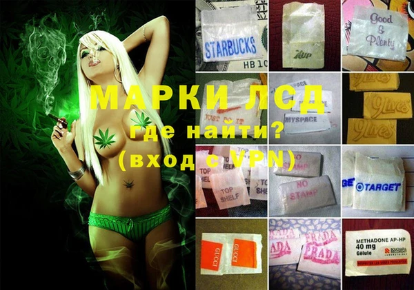 мяу мяу мука Арсеньев