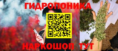 ГАЛЛЮЦИНОГЕННЫЕ ГРИБЫ Среднеуральск