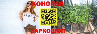 ГАЛЛЮЦИНОГЕННЫЕ ГРИБЫ Среднеуральск